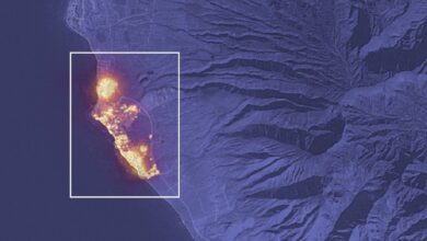maui fire map